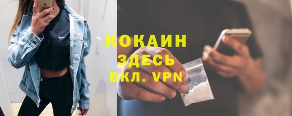 винт Липки