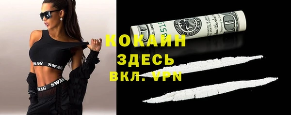 винт Липки
