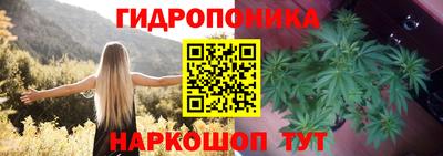 гашишное масло Гатчина
