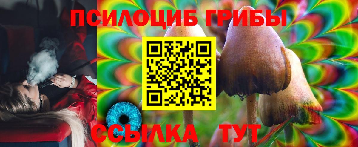 как найти наркотики  Псилоцибиновые грибы ЛСД  Вход с VPN  Избербаш  Псилоцибиновые грибы MAGIC MUSHROOMS 